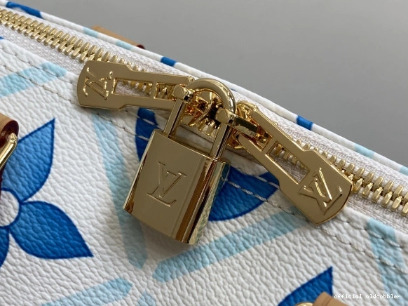Official oldcobbler Louis Vuitton SPEEDY 25 0719